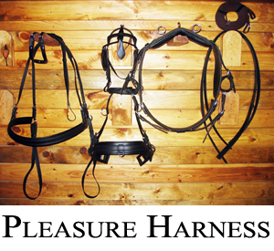 Pleasure harness